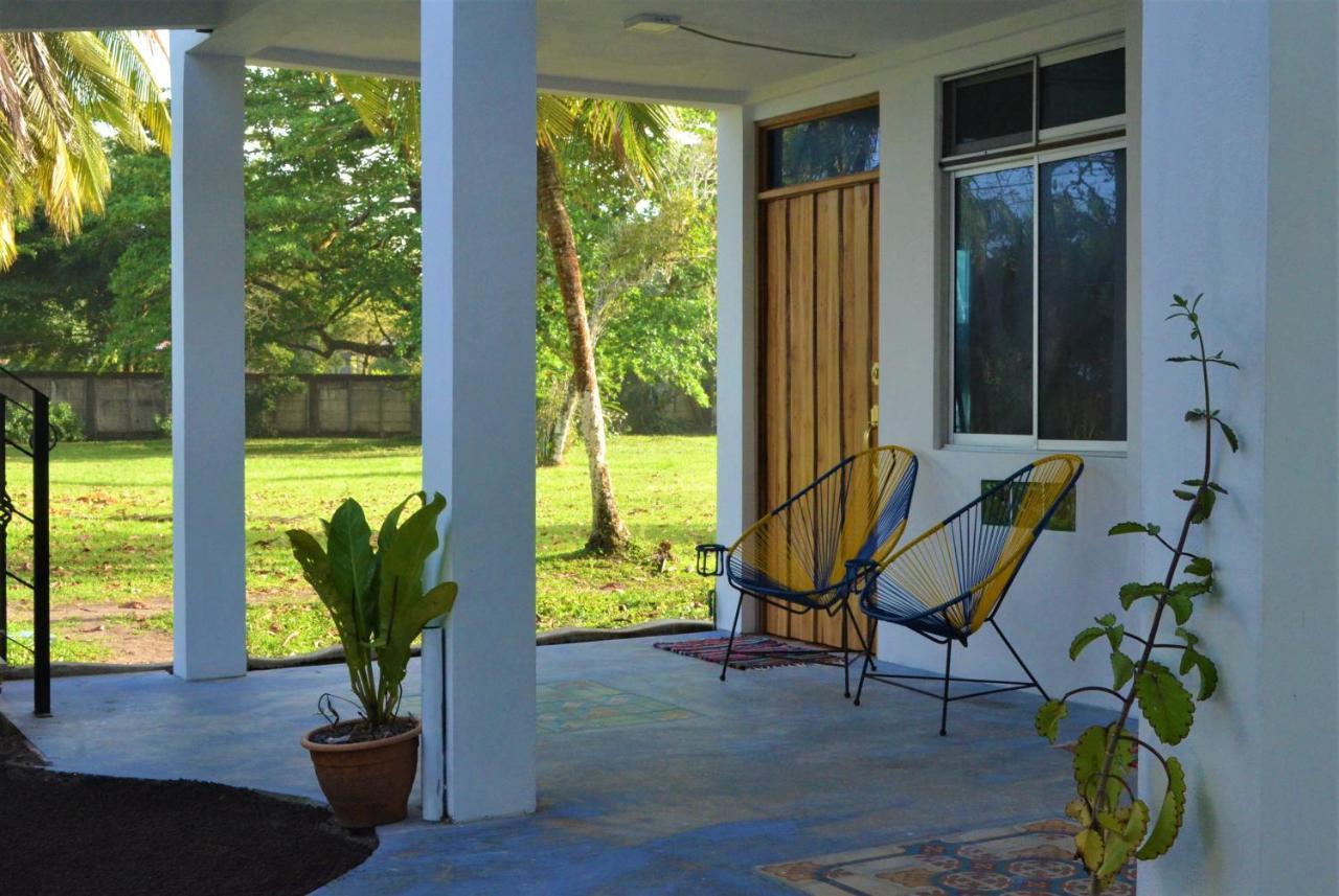 Hotel Pura Natura Beachfront Tortuguero Exterior photo