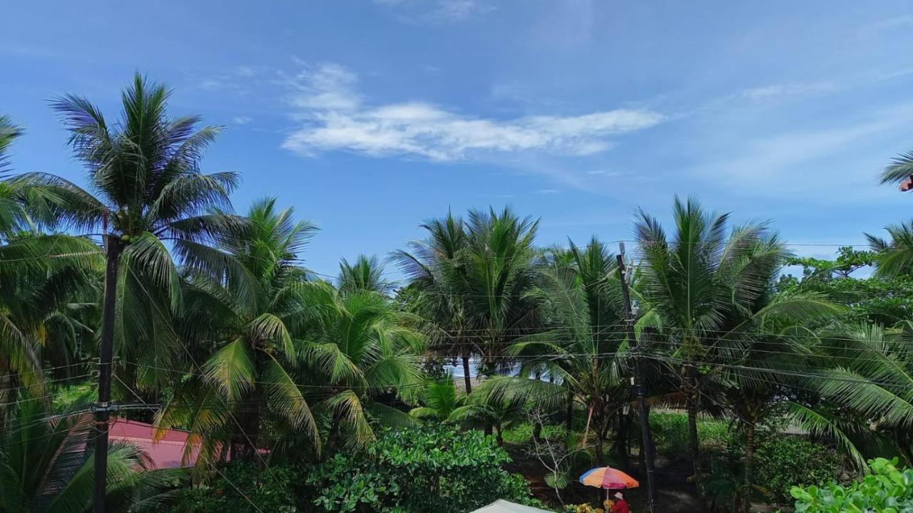 Hotel Pura Natura Beachfront Tortuguero Exterior photo