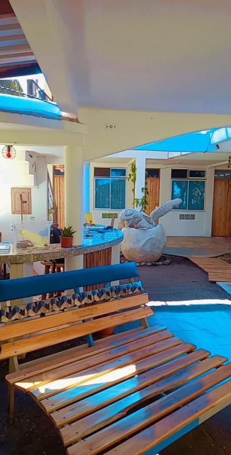 Hotel Pura Natura Beachfront Tortuguero Exterior photo