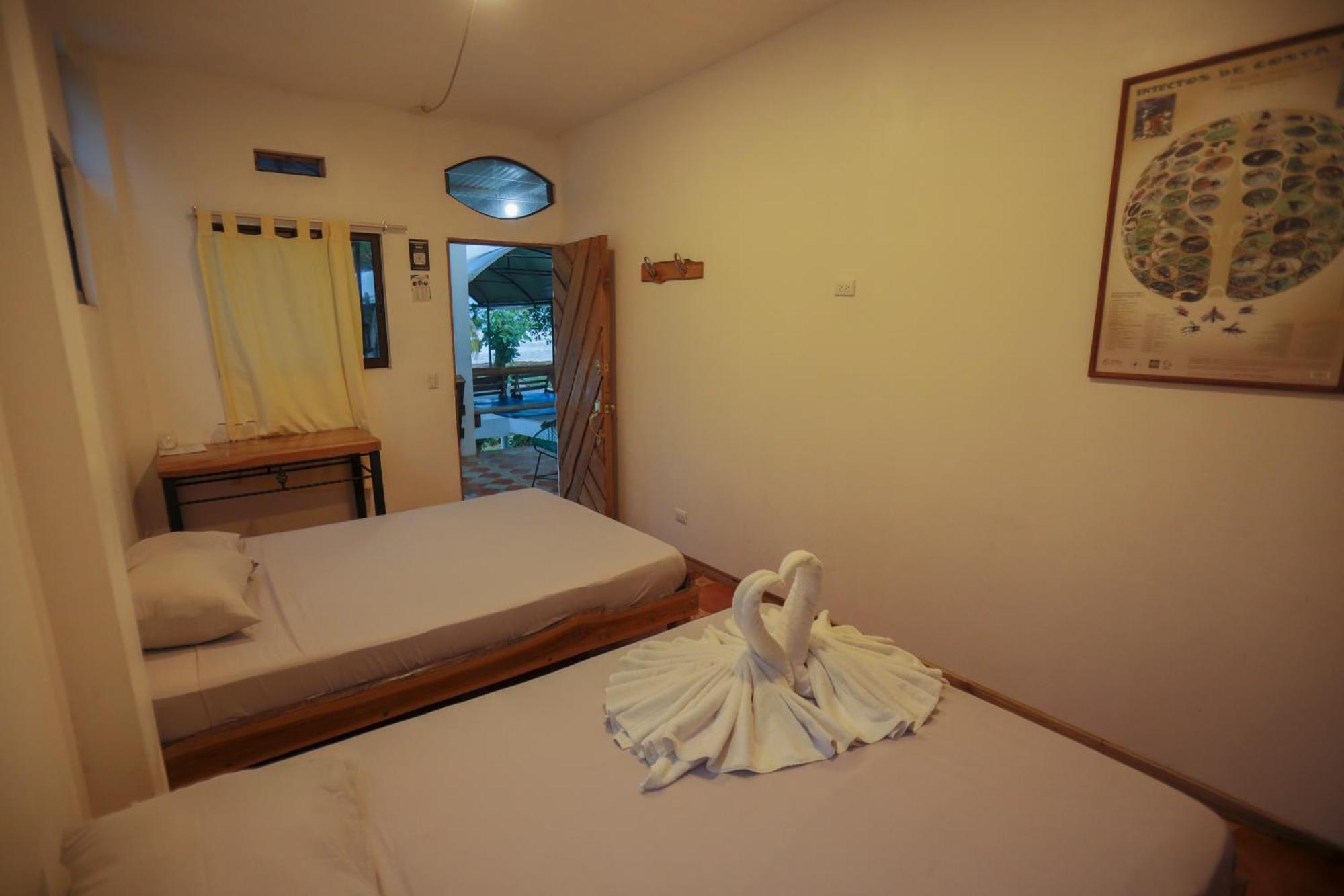 Hotel Pura Natura Beachfront Tortuguero Exterior photo